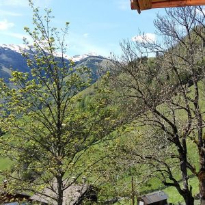 Aussicht